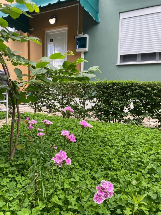 Vila Ajdinaj ベラト エクステリア 写真